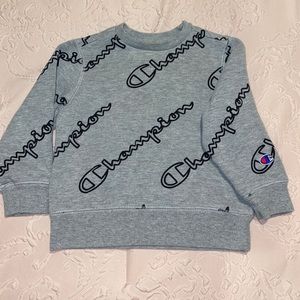 Champion toddler sweater